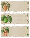 Fruit Banners APP Royalty Free Stock Photo