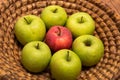 Fruit basked with green and red apples