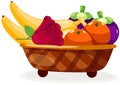 Fruit basket