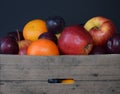 Fruit basket with apple, orangen and plum Royalty Free Stock Photo