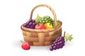 Fruit basket illustration. Apples, grapes, strawberries. Thanksgiving Day. Royalty Free Stock Photo