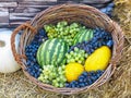 Fruit basket with melon, watermelon grapes,on straw Royalty Free Stock Photo