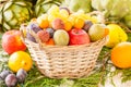 Fruit basket