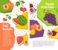 Organic fruit basket, peach and grapes vector