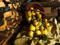 Fruit basket of pears quince apples on a background of wood