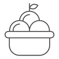 Fruit basket thin line icon. Basket of apples vector illustration isolated on white. Harvest outline style design Royalty Free Stock Photo
