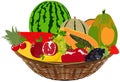 Fruit basket vector drawing on isolated background