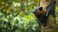 fruit bat hanging on tree in forest Royalty Free Stock Photo
