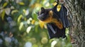 fruit bat hanging on tree in forest Royalty Free Stock Photo