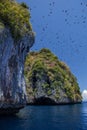 Fruit Bats Over Limestone Island