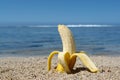 Fruit on the beach, banana