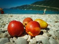 Fruit beach sweet Greece vasiliki