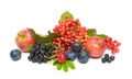 Fruit and berries close-up isolated on white background Royalty Free Stock Photo