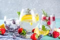 Fruit and berries gin tonics Royalty Free Stock Photo