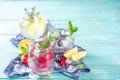 Fruit and berries gin tonics Royalty Free Stock Photo