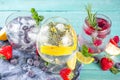 Fruit and berries gin tonics Royalty Free Stock Photo