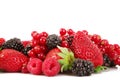 Fruit berries on white background