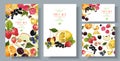 Fruit and berry banners set