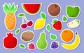 Fruit and berry cartoon sticker label icon set Royalty Free Stock Photo