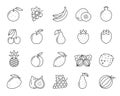 Fruit berry food orange kiwi line icon vector set