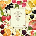 Fruit and berry frame Royalty Free Stock Photo