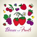 Fruit and berry illustrations. Food logo vector.