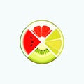 Fruit and berry organic food and juice, round logo. Slice of lime, kiwi, watermelon, grapefruit. Summer and fresh