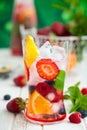 Fruit and berry punch Royalty Free Stock Photo