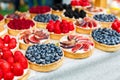 Fruit and berry tarts dessert tray assorted outdoors Royalty Free Stock Photo