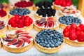 Fruit and berry tarts dessert tray assorted outdoors Royalty Free Stock Photo