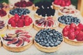 Fruit and berry tarts dessert tray assorted outdoors Royalty Free Stock Photo