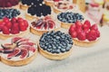 Fruit and berry tarts dessert tray assorted outdoors Royalty Free Stock Photo