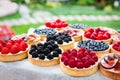 Fruit and berry tarts dessert tray assorted outdoors Royalty Free Stock Photo