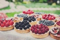 Fruit and berry tarts dessert tray assorted outdoors Royalty Free Stock Photo