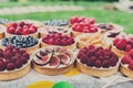 Fruit and berry tarts dessert tray assorted outdoors Royalty Free Stock Photo