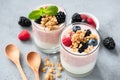 Fruit Berry Yogurt With Granola And Fresh Berry Fruits Royalty Free Stock Photo