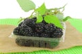 Fruit Black berry in container