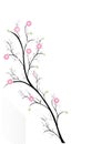 Fruit blossoming cherry tree, spring background.