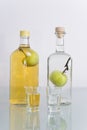 Fruit in bottle Royalty Free Stock Photo