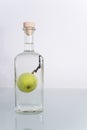 Fruit in bottle Royalty Free Stock Photo
