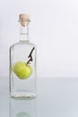 Fruit in bottle Royalty Free Stock Photo