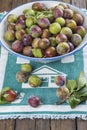 Fruit bowl with greengage plums Royalty Free Stock Photo