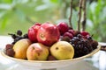 Fruit bowl