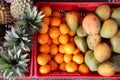 Fruit box in Guadeloupe food market Royalty Free Stock Photo