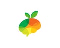 Fruit Brain Logo Icon Design