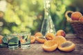 Fruit brandy with sliced apricots Royalty Free Stock Photo