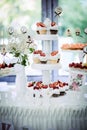 Fruit buffet. Fruit cakes.Festive sweet table decor. Royalty Free Stock Photo