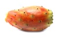 Fruit of cactus