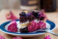 Fruit cake with chocolate meringue white cream in a plate Royalty Free Stock Photo