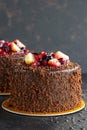 Fruit cake on a dark background Royalty Free Stock Photo